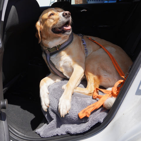 Hundetuch_Luise_Auto