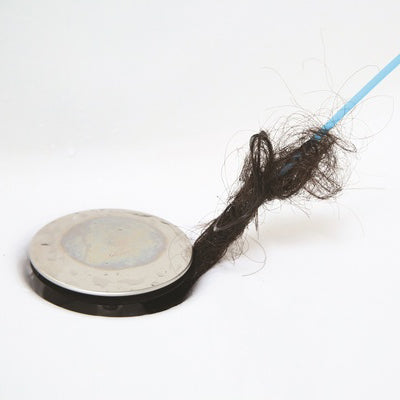 Miracle-Snake_Emotionsbild