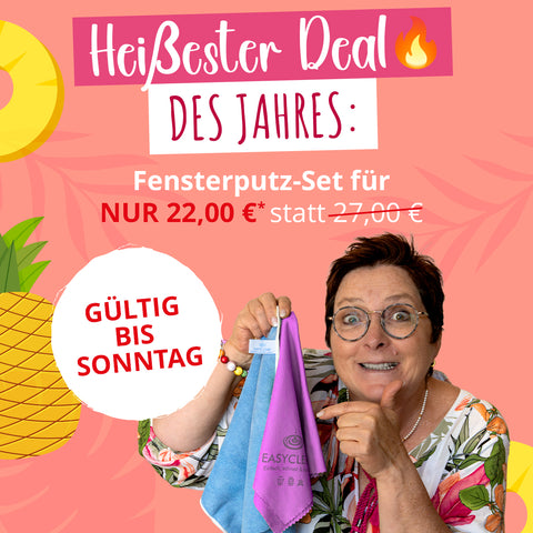 Allzweck- und Fensterputz-Set